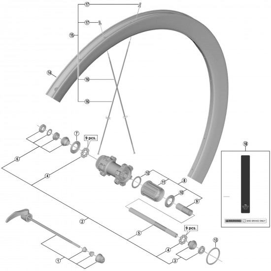 Shimano WH-U5000-R Complete quick release, 173 mm