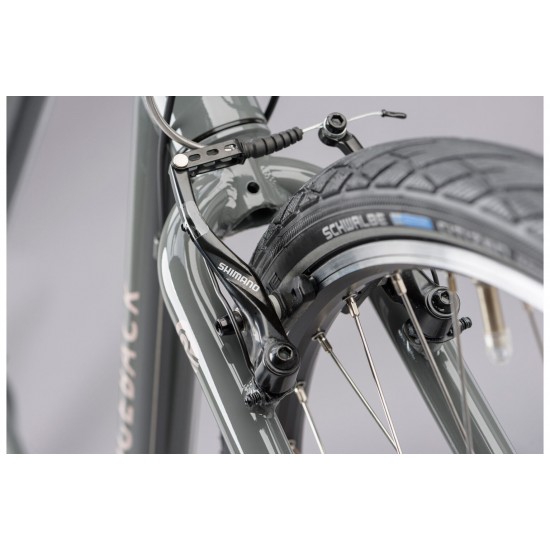 Ridgeback Velocity X-Large Ridgeback Velocity X-Large