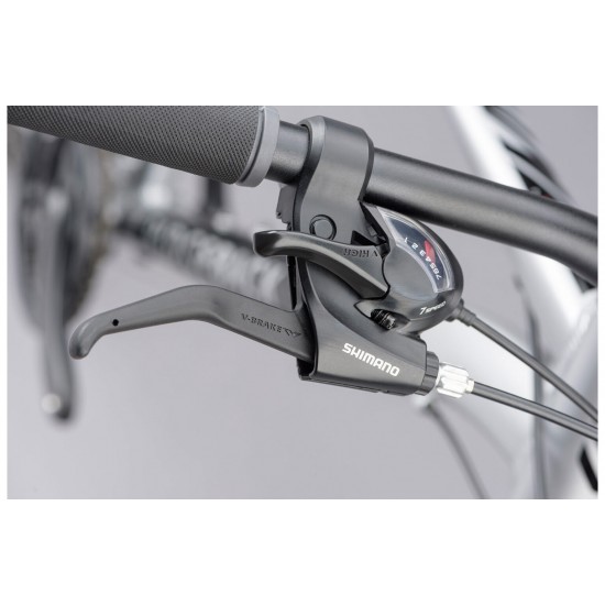 Ridgeback Terrain 1 Large Ridgeback Terrain 1 Large