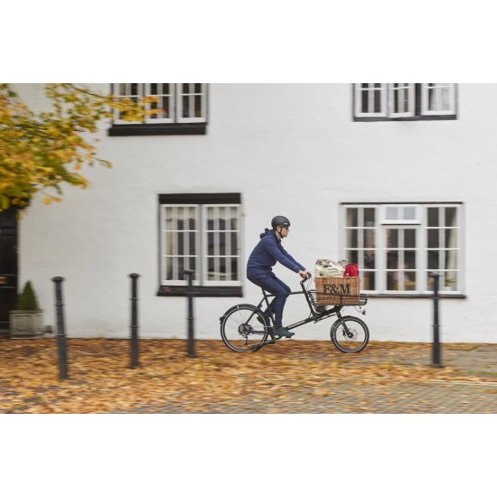 Ridgeback Butcher Medium-Large Ridgeback Butcher Medium-Large