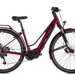 Ridgeback Advance 2W Large