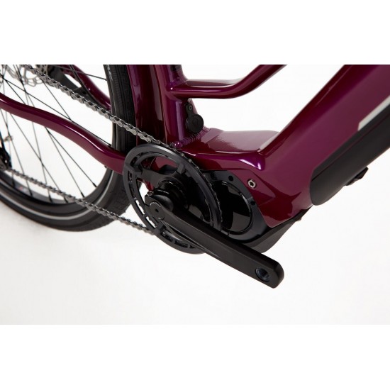 Ridgeback Advance 2W Large