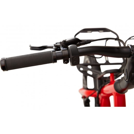 Ridgeback Errand Ridgeback Errand