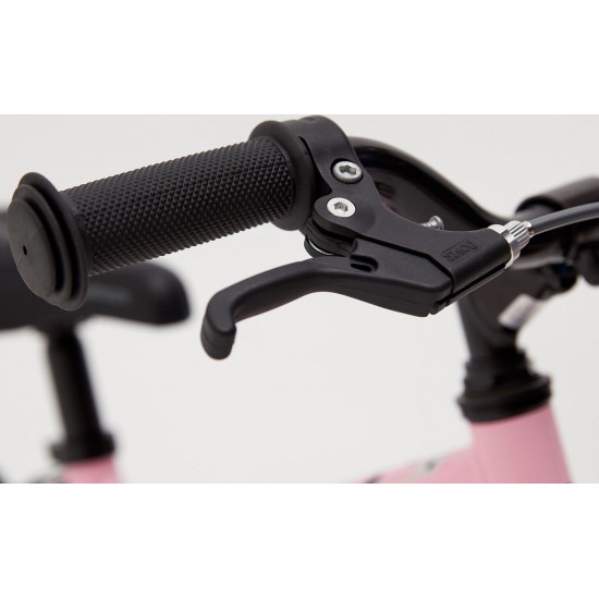 Ridgeback Honey, Super Sage Ridgeback Honey, Super Sage