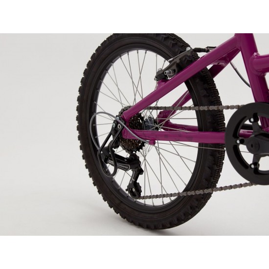 Ridgeback Harmony Purple Ridgeback Harmony Purple