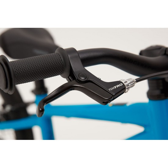 Ridgeback Dimension 16, Super Sage Ridgeback Dimension 16, Super Sage