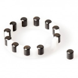 DT Swiss Needle cage complete for rear Onyx hub