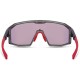 Madison Enigma Crystal Smoke Sunglasses - Pink Rose Mirror Lens