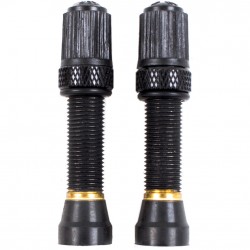 Nutrak Schrader Tubeless Valve, Threaded Bronze