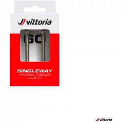 Vittoria Set Tubeless Valve Brass Silver 40mm (2 Pcs) Vittoria Set Tubeless Valve Brass Silver 40mm (2 Pcs)