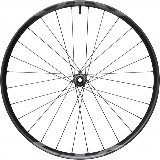 Shimano XTR M9220 29er XTR wheel, 15x110mm E-thru, Center Lock disc, front