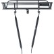 Basil Portland front carrier, matt black