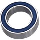 M Part MAX Bearing 3802V double row LLU 15x24x7
