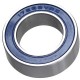 M Part MAX Bearing DR17289V doub.r LLU 17x28x9