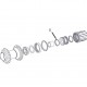 DT Swiss Conical spring for star ratchet systems, Pre-EXP 180, 240, 350 and Ratchet LN 370