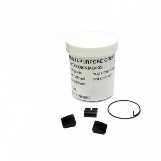DT Swiss Service Kit for 3 - pawl freehubs