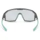 Madison Eyewear Enigma Sunglasses - crystal gloss smoke / photochromic lens