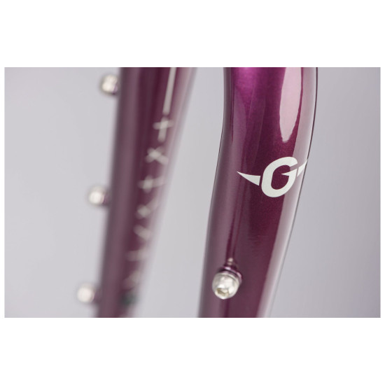 Genesis Croix De Fer 12/12 725 Frameset