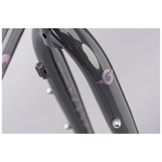 Genesis Croix De Fer 853 Frameset