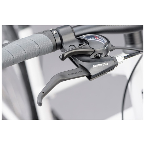Ridgeback Motion Open Frame