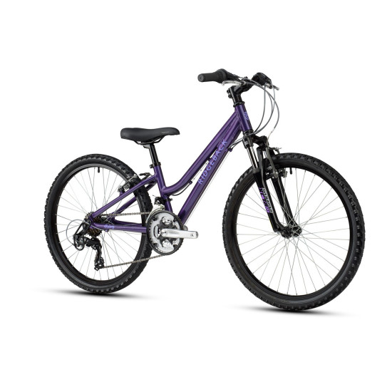 Ridgeback Destiny 24 Inch Pink