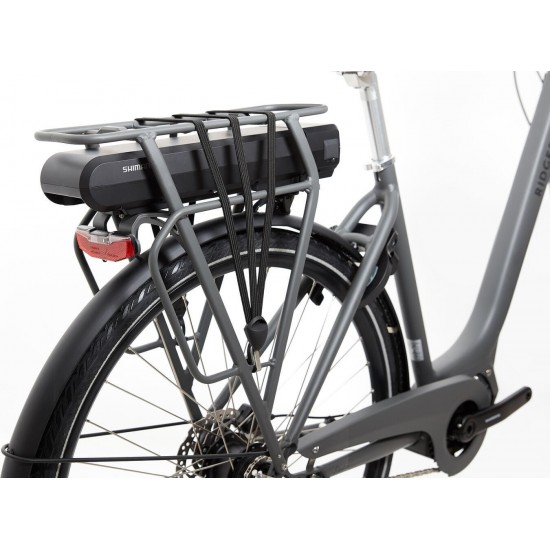 Ridgeback Electron S2
