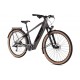 Ridgeback Arcus 3