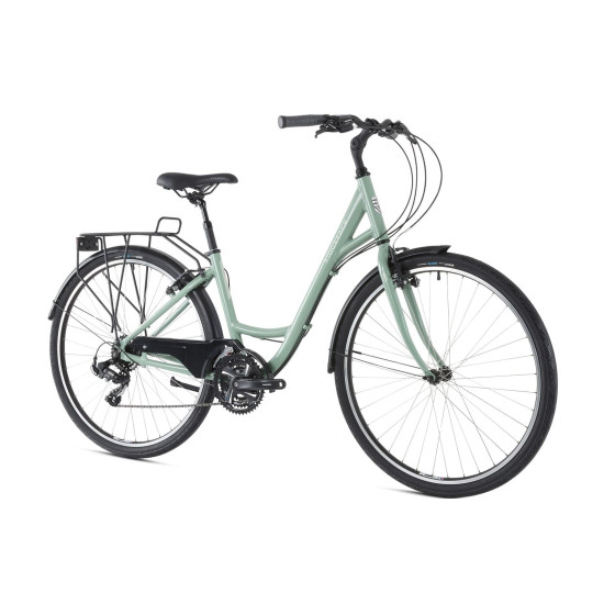 Ridgeback Avenida 21