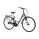 Ridgeback Avenida 7