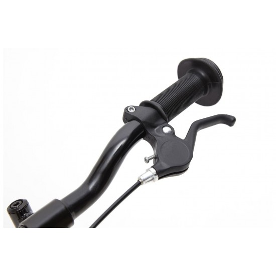 Ridgeback Scoot Green