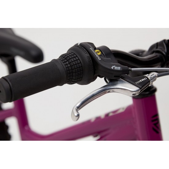 ridgeback harmony 20 review