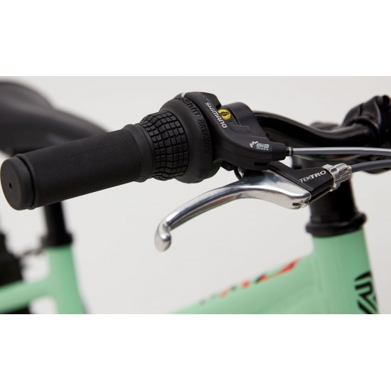 ridgeback harmony 20 review