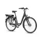 Ridgeback Electron F.H.D Black