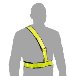 Oxford Bright Belt L