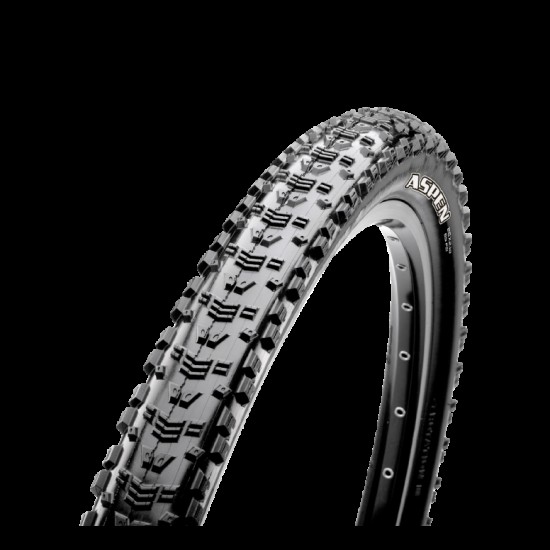 Maxxis Aspen Folding EXO TR