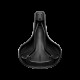Brooks C67 Cambium