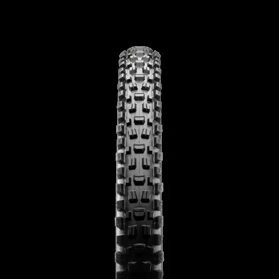 Maxxis Assegai Folding DC EXO TR