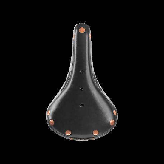 Brooks B17 Special Brooks B17 Special