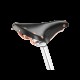 Brooks B17 Special Short Brooks B17 Special Short