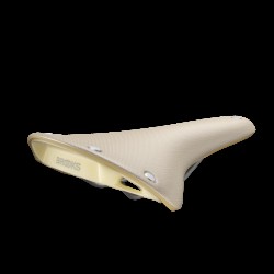 Brooks Cambium C17 Special Recycled