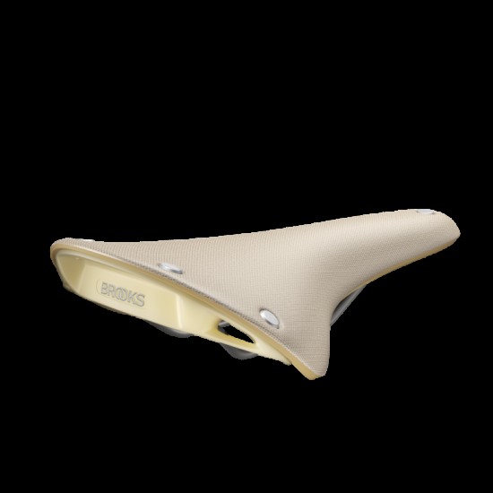 Brooks Cambium C17 Special Recycled Brooks Cambium C17 Special Recycled