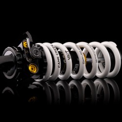 Cane Creek DBcoil IL G2