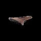 Brooks C17 Cambium Carved All-Weather