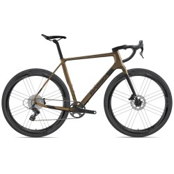 Basso Palta Disc Ekar 13x Shamal Gold Burn
