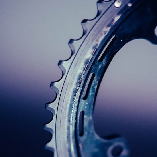 Campagnolo Ultra Carbon Chainring 52T