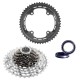 Campagnolo Ultra Kit: 50t+10/33t + USB Bearings