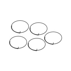 Campagnolo FH-RE114 Wrap Round Freehub Springs (5pcs)