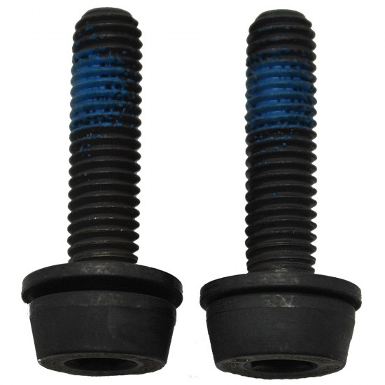 Campagnolo 10-14mm Rear Mount Screws 19mm x2 Campagnolo 10-14mm Rear Mount Screws 19mm x2