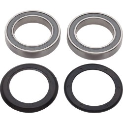 Campagnolo Power-Torque Bearings/Seals Set (2pcs)