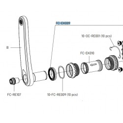 Campagnolo Pro-Tec Bearings & Seals 2pc Campagnolo Pro-Tec Bearings & Seals 2pc